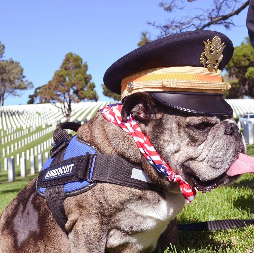 跟着我一起来看小阿牛的可爱照片吧!