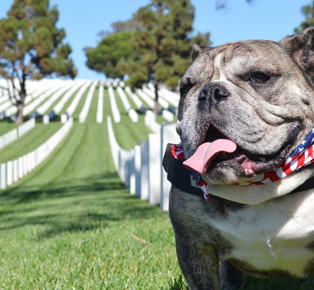 跟着我一起来看小阿牛的可爱照片吧!