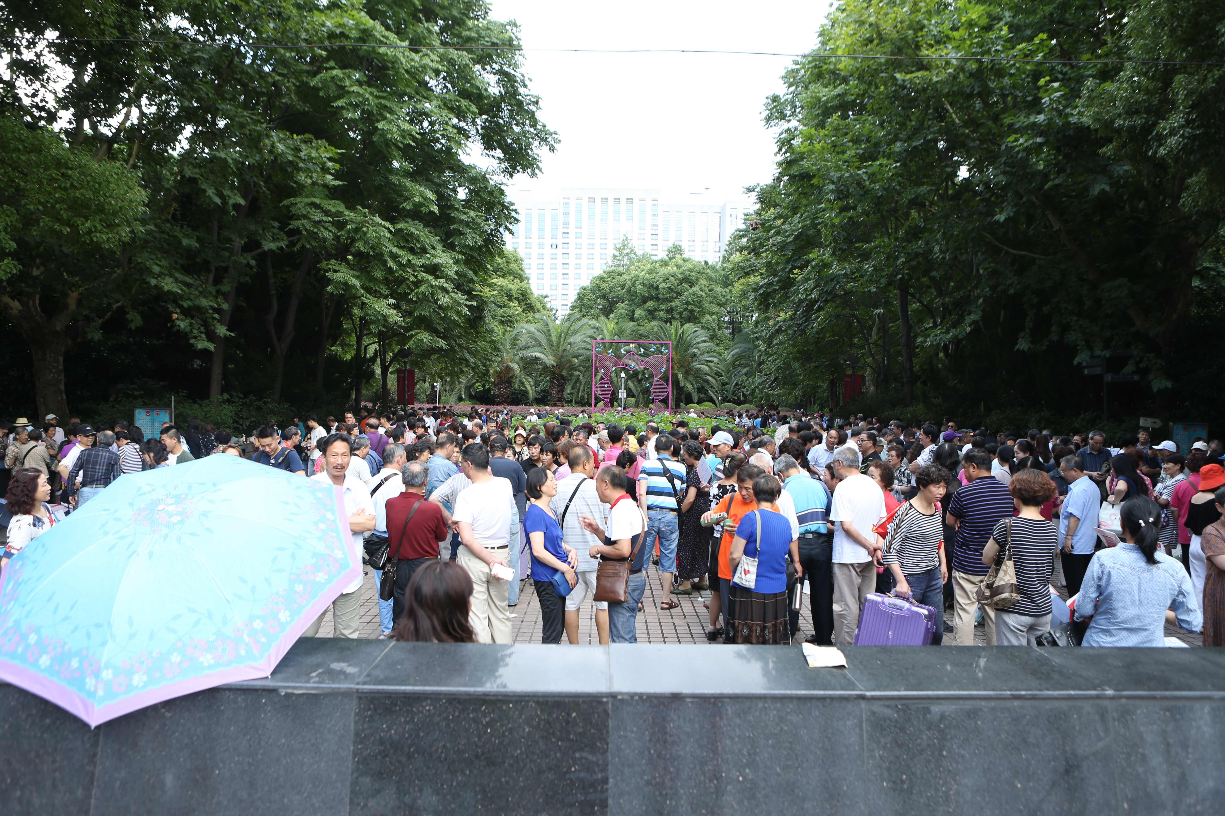 上海人民公园相亲场面火爆 相亲摊位设到大门外