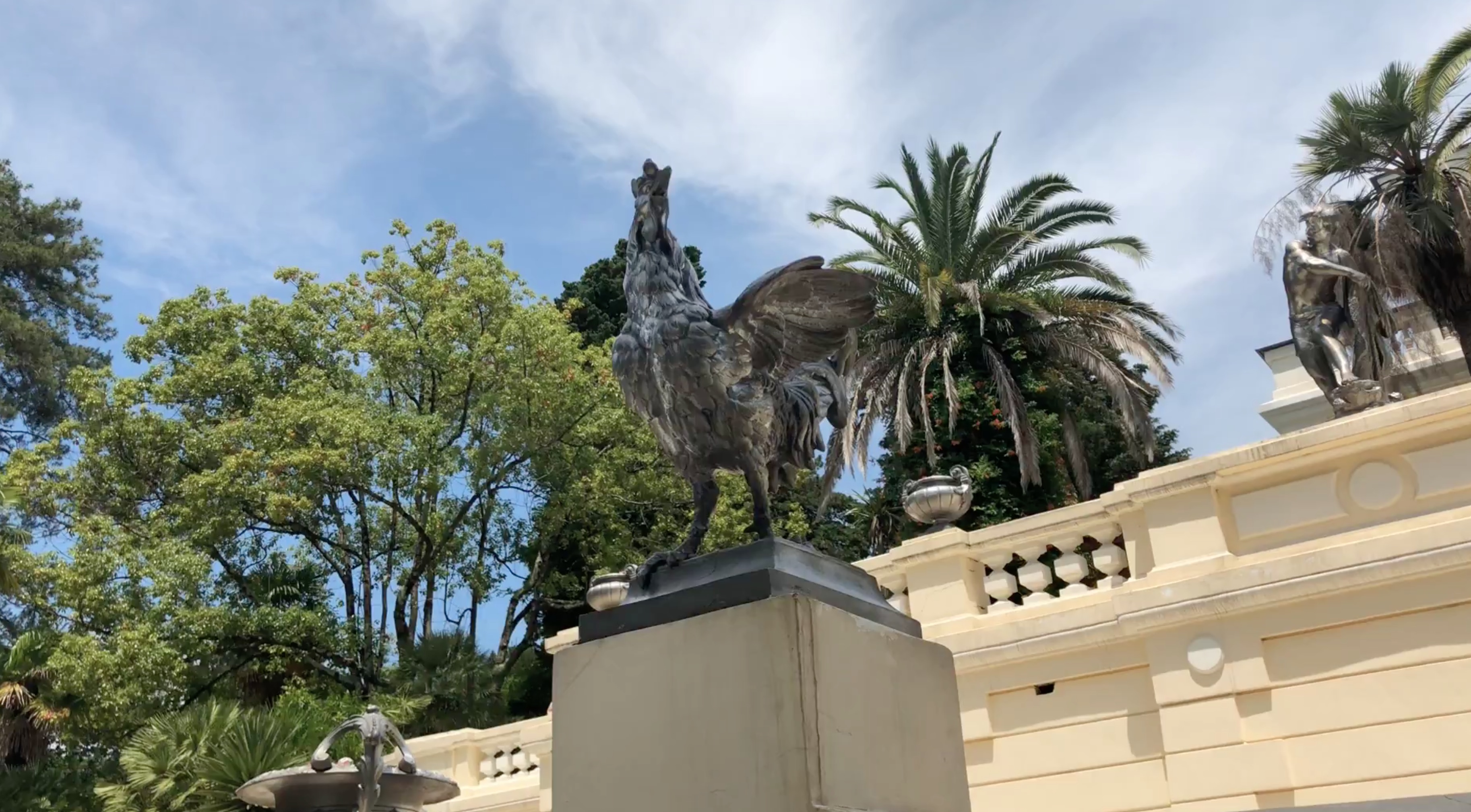 直击世界杯期间的俄罗斯:四季常青的索契植物园