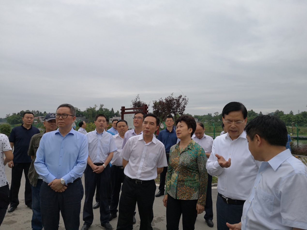 莫恭明书记考察天府国际农产品中心生产基地