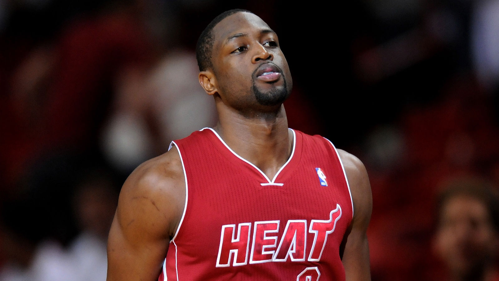 dwyane wade,"闪电侠"韦德传记