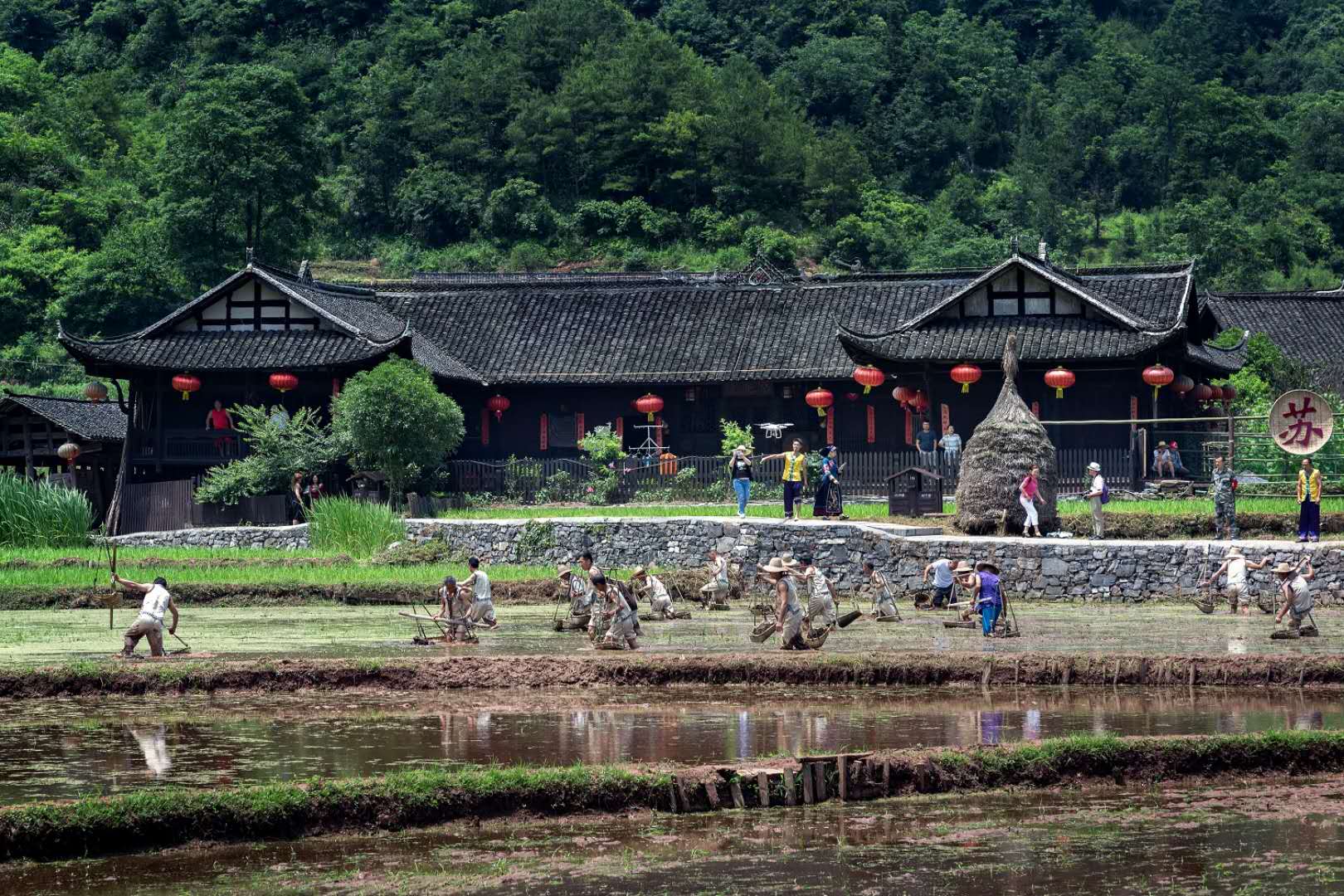 又捉鱼,又种田,播种成了欢快的节日了