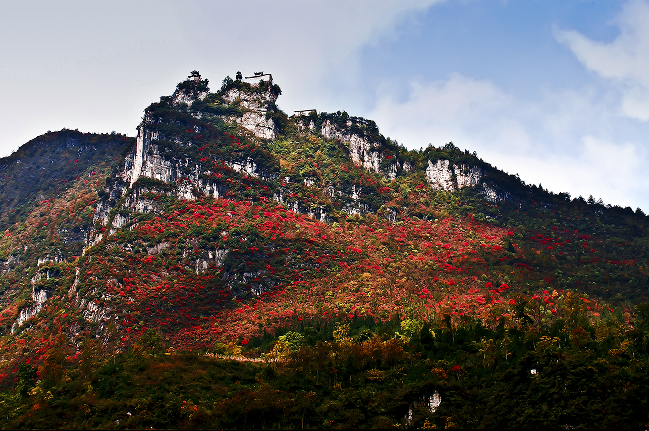 道真县插旗山古寺院 大山中的虎跳涧