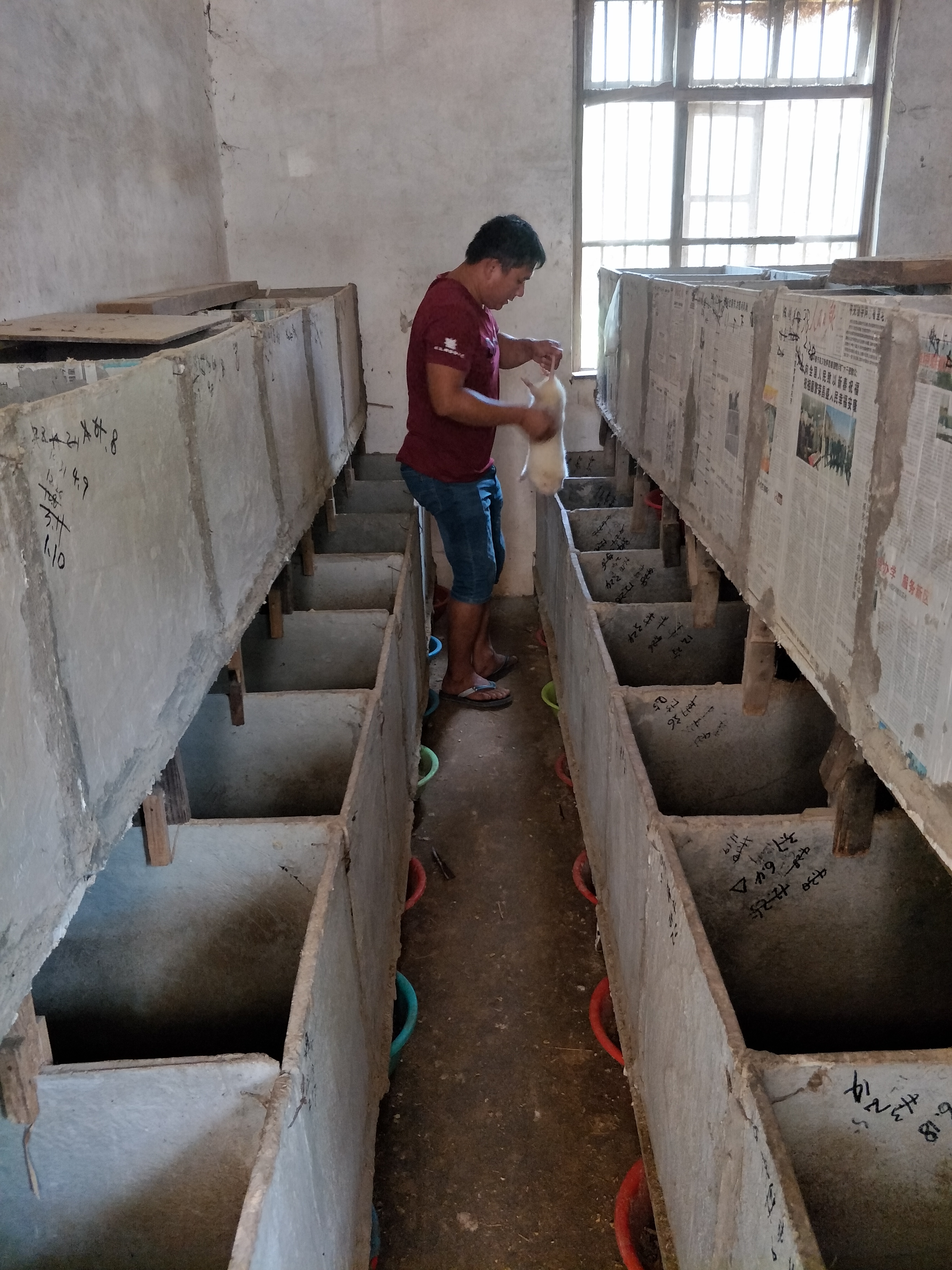 瓷砖竹鼠栏的建舍