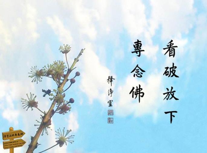 把自己当做凡夫,老实念佛,法师开示