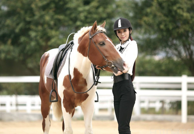 性感尤物艾尚真"骑马照",图3气质魅惑,图6剑气逼人!