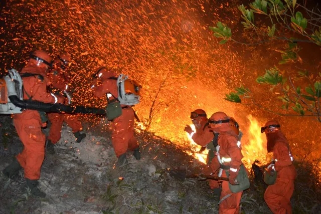 灭火战士:从懵懂少年到顶梁柱的华丽转身