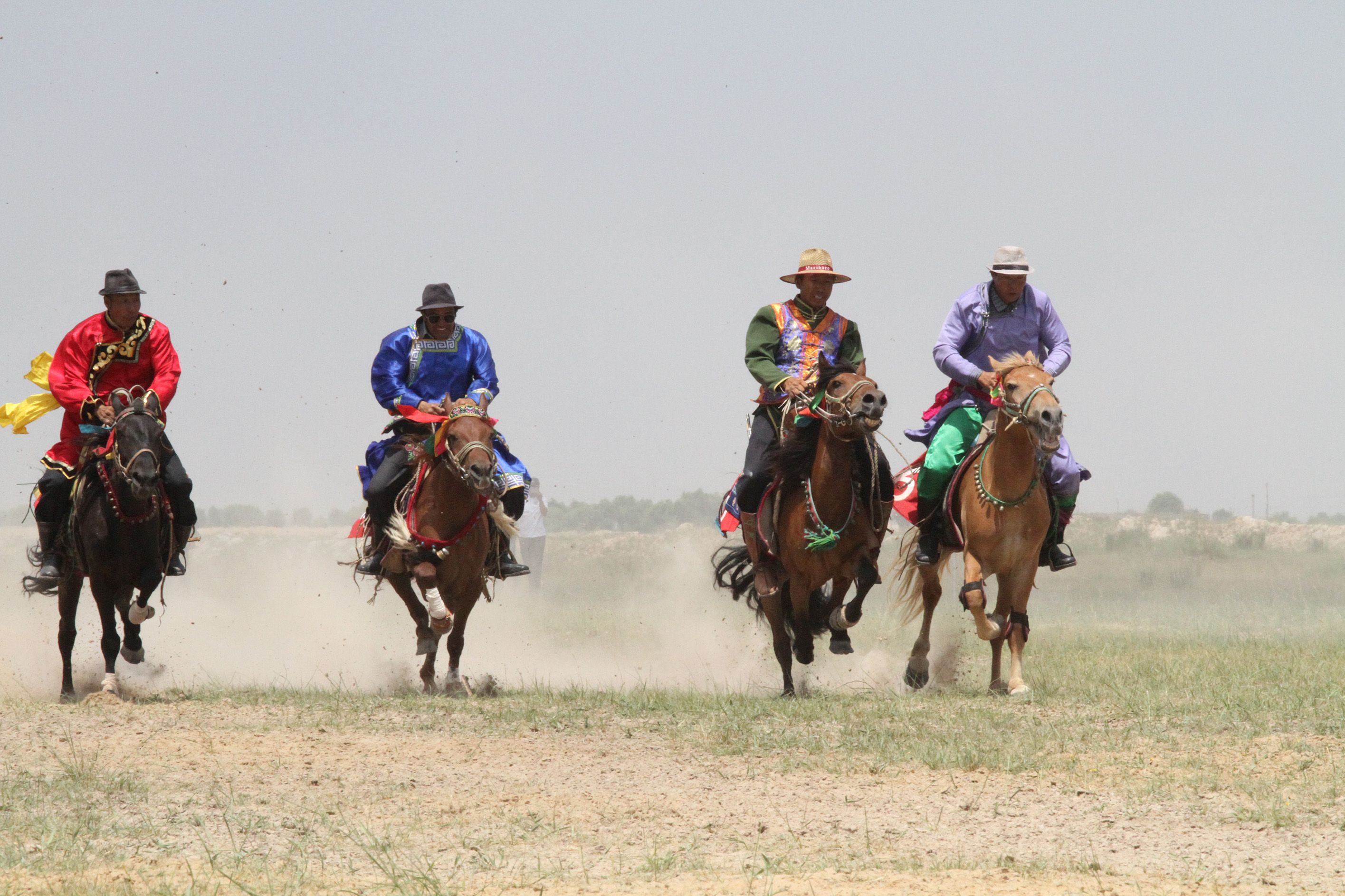 乌审走马比赛前后的写照
