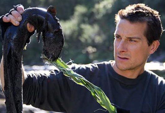 号称食物链顶端的贝爷吃了那么多脏东西为何没有生病感染寄生虫?