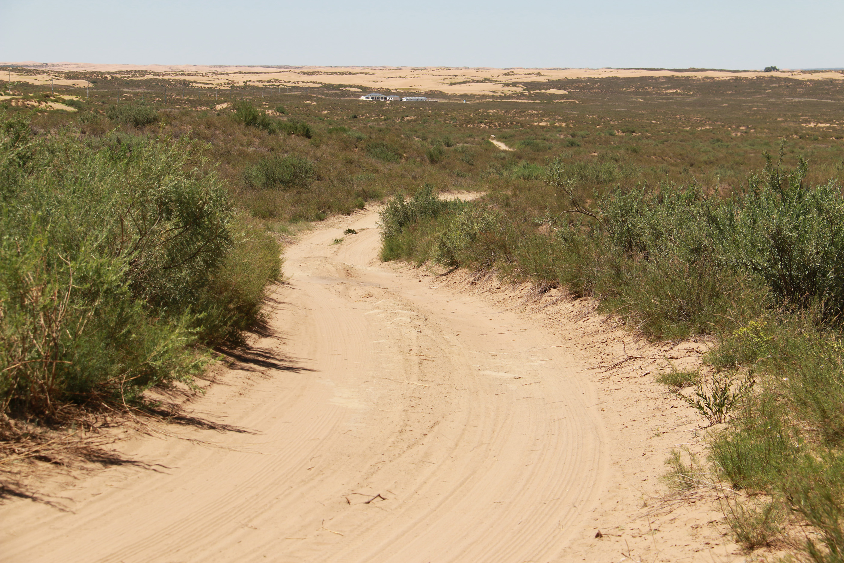 自然沙路c. 转载自百家号作者:委兀敦