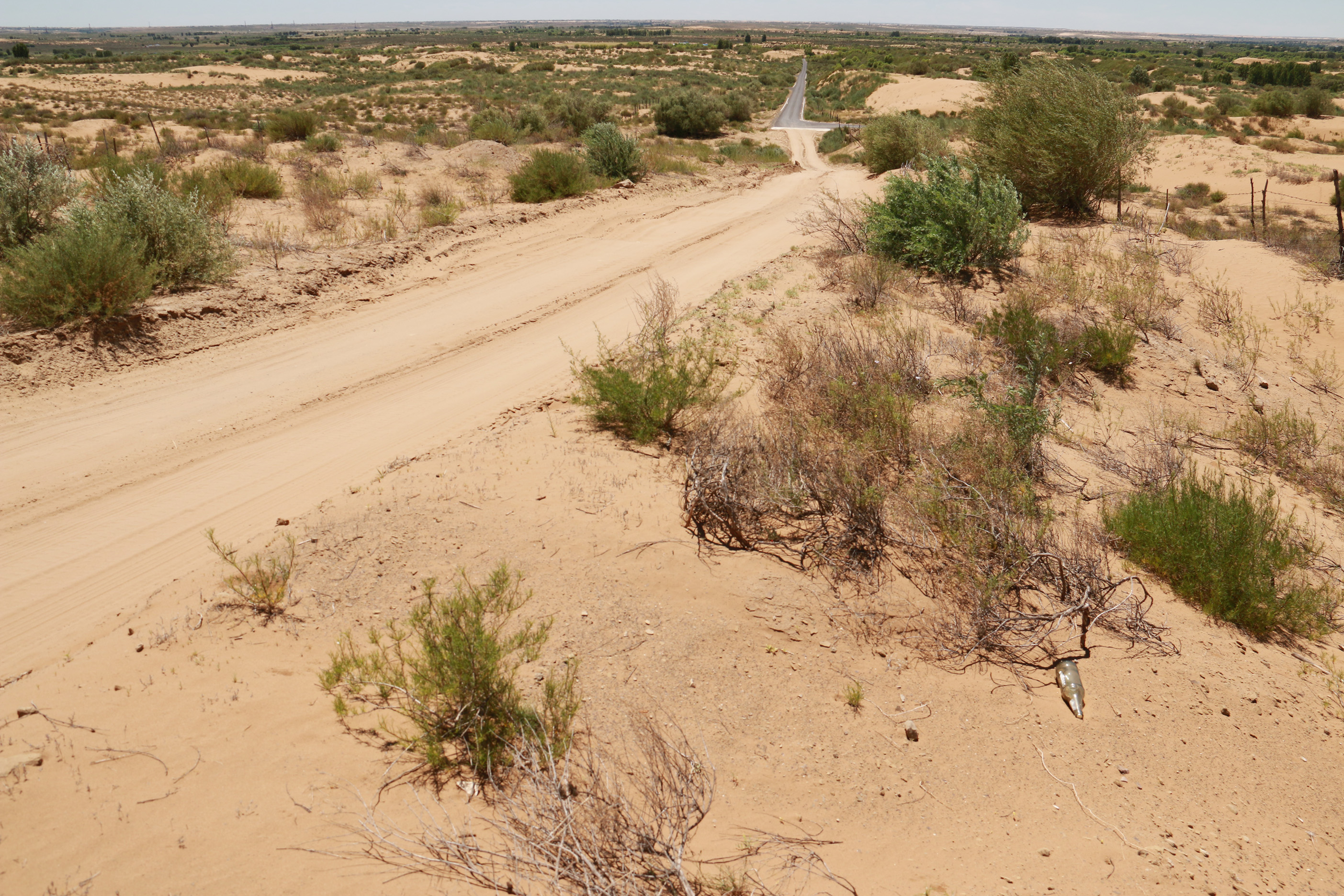 自然沙路c. 转载自百家号作者:委兀敦
