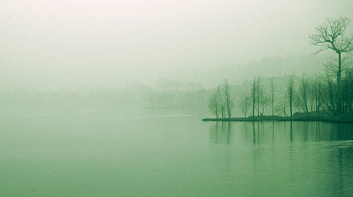 杜甫的一首雨诗,诗情画意,好似一幅甜美的晨雨图