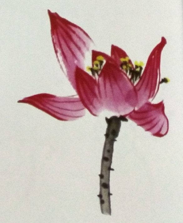 国画之荷花花头的没骨法画法,以及不同形态的荷花花头