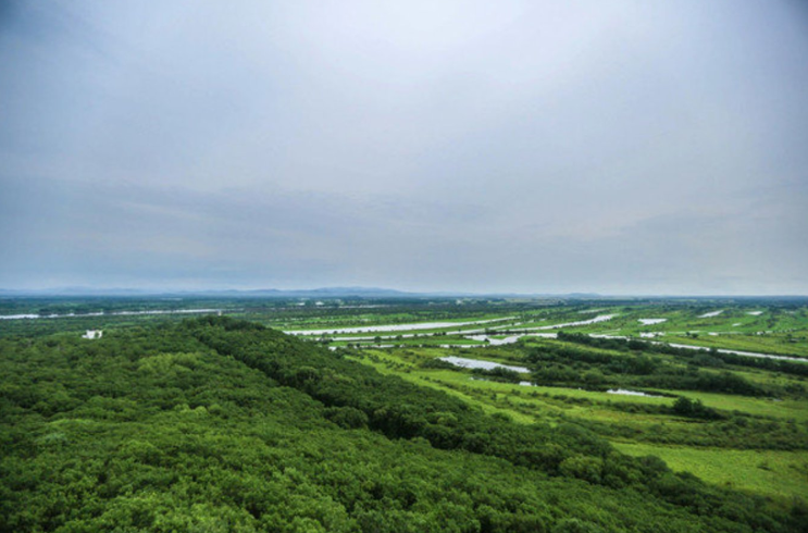 209高地是珍宝岛战役的炮兵指挥所和前沿指挥部,也是我国境内距珍宝岛