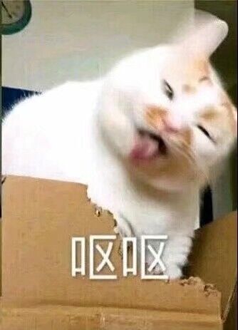 最新版呕吐三连,猫猫表情包又更新啦()(//Д//)()