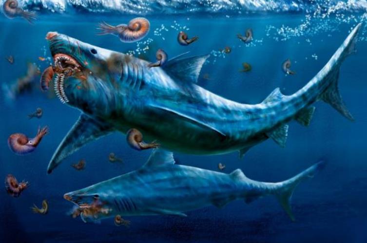 5种相貌古怪的史前生物,第3种有极少数至今幸存