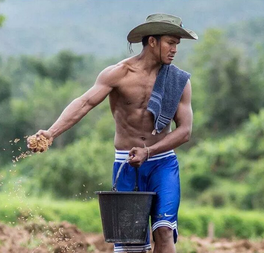 播求遭拳迷集体吐槽:走出乡村远离擂台,豪华版王子另一种风情