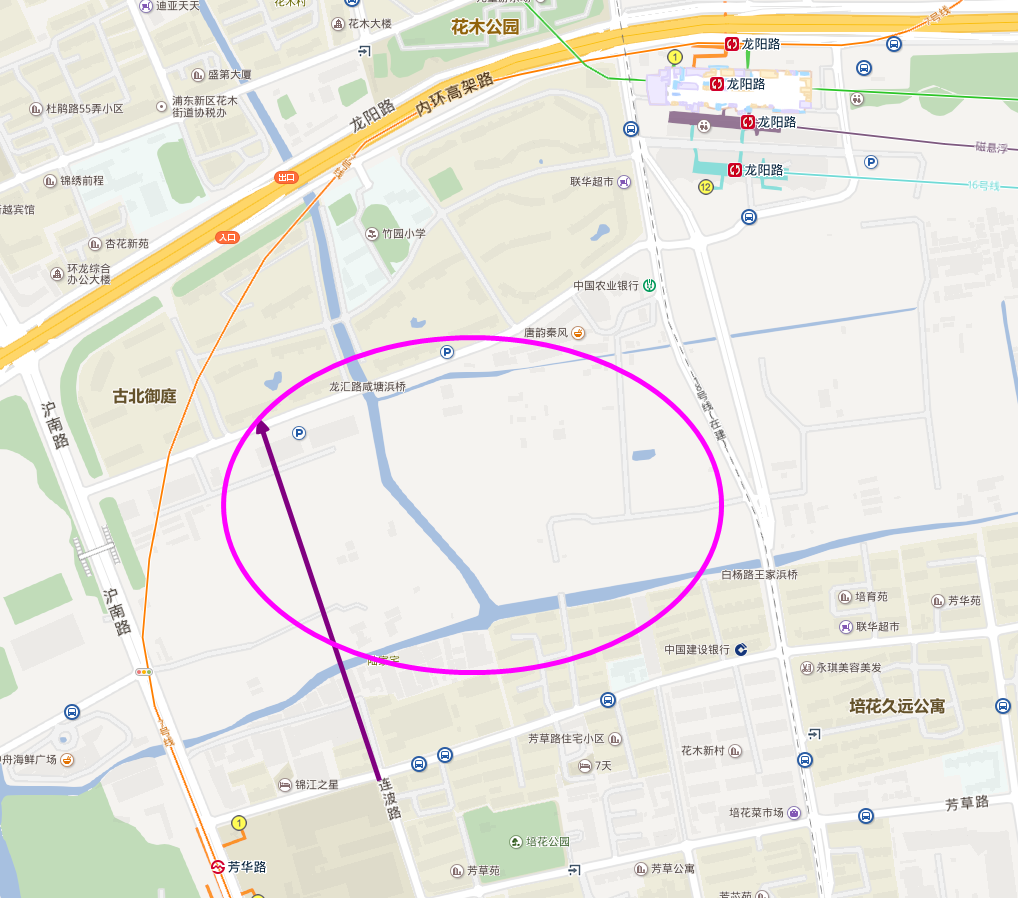 浦东新区调整轨道交通重地龙阳路交通枢纽的规划:扩大行政办公区