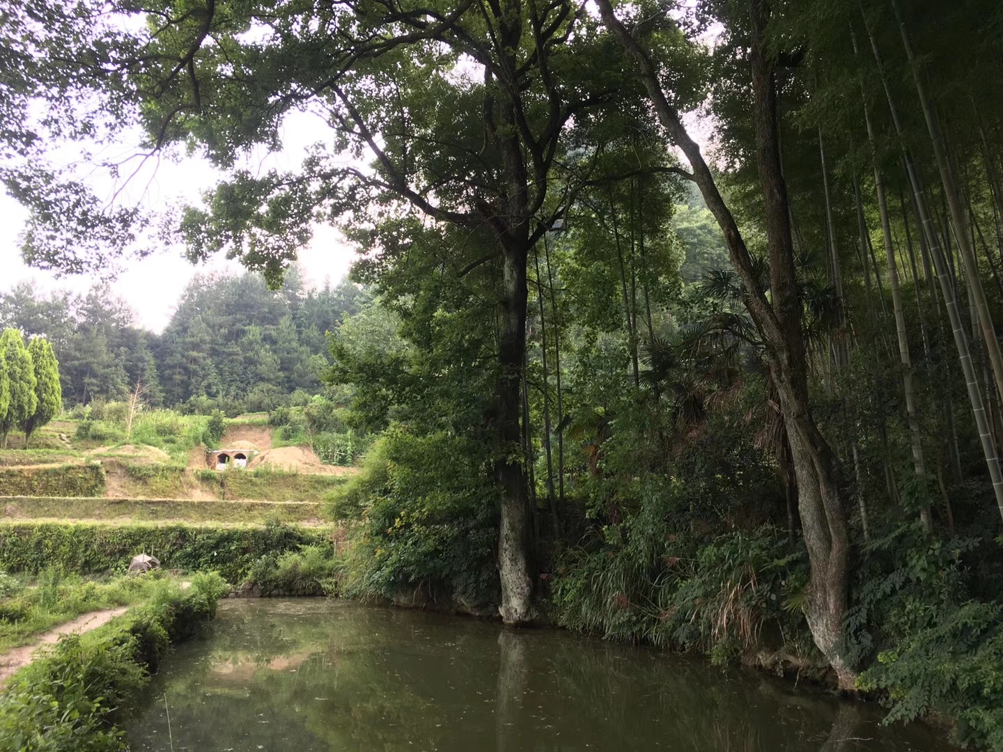 返璞歸真,回到岳陽鄉村田園山水間,感受詩意生活