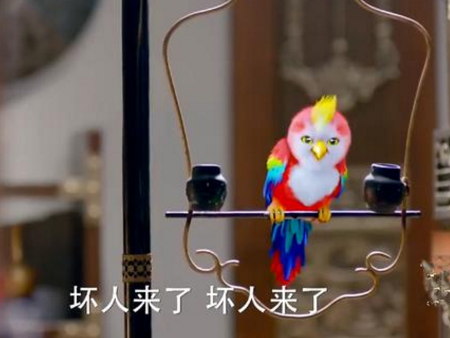 《楚乔传》中的苍梧鸟,也是林更新的爱宠啊,这个小鹦鹉和主人一样还会