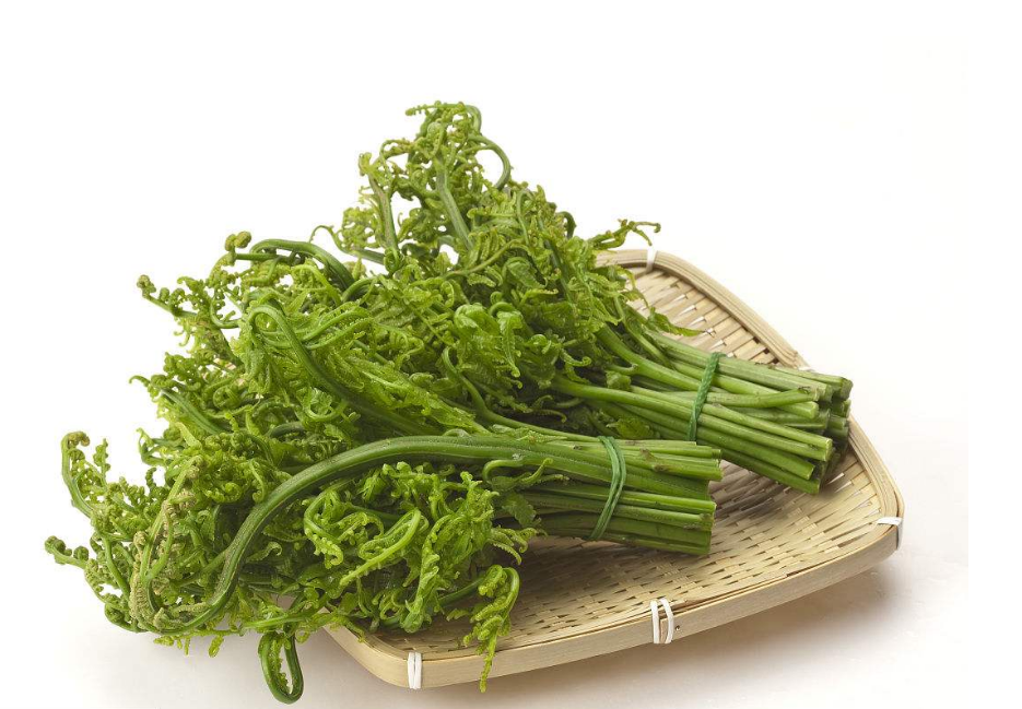 这个韭菜在农村真的见已为常了,因为这种蔬菜长的是非常的快,且环境