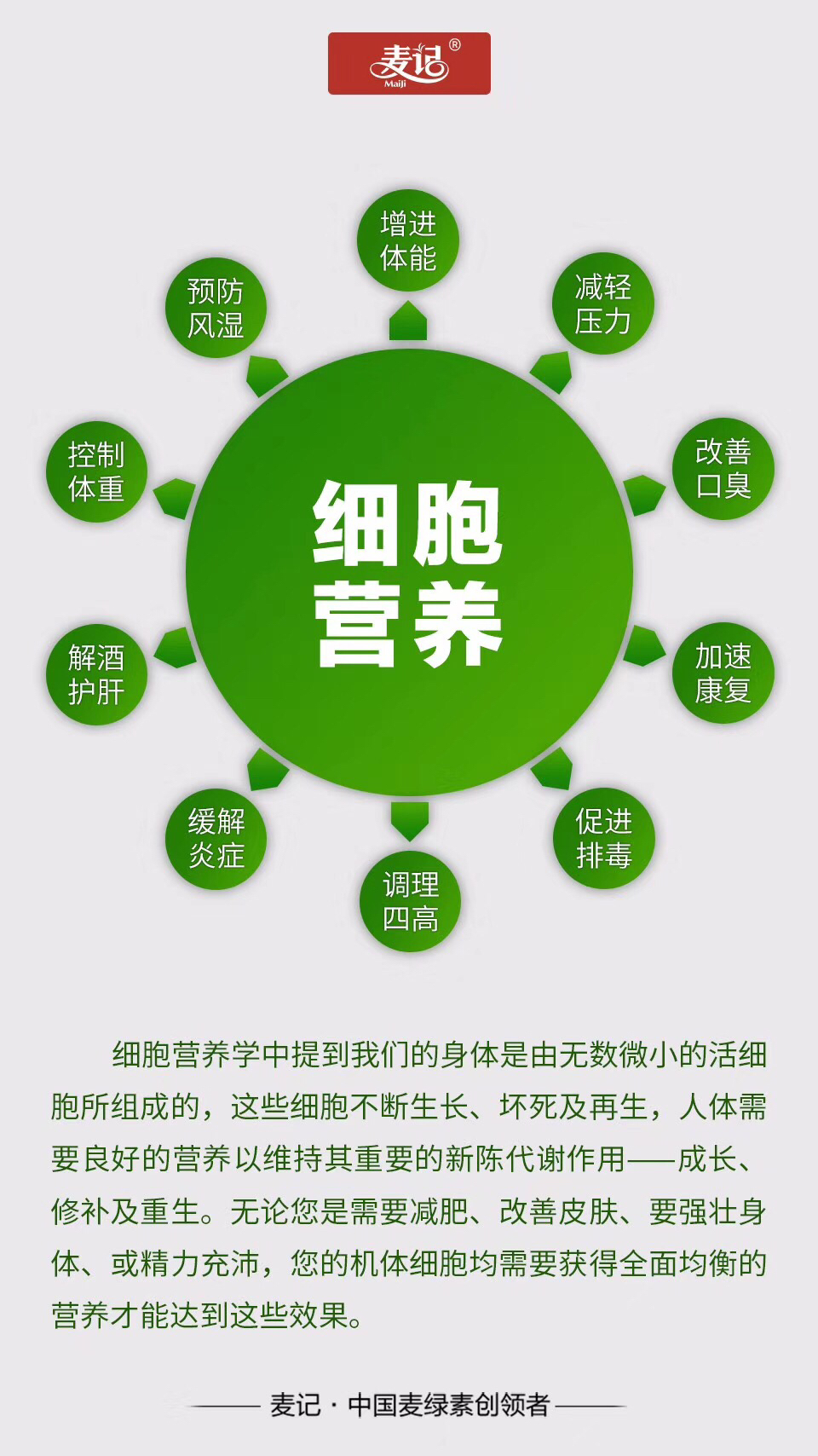 麦记麦绿素抗疲劳碱性食物之王