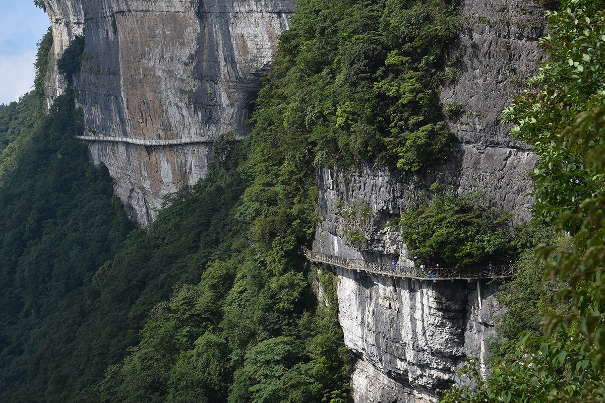 重庆金佛山有国内海拔最高的架空绝壁栈道,玩的就是刺激与心跳