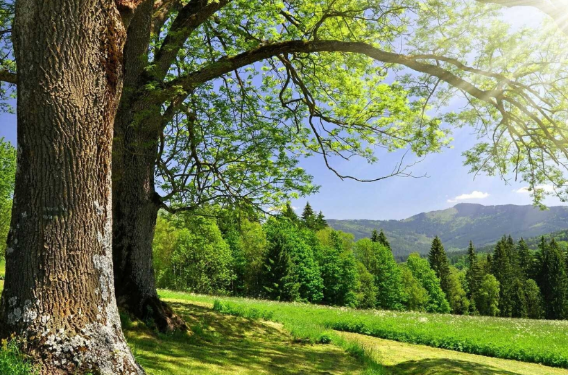 大自然告诉你,河水平静的流,两岸山林无语,让人内心充满宁静