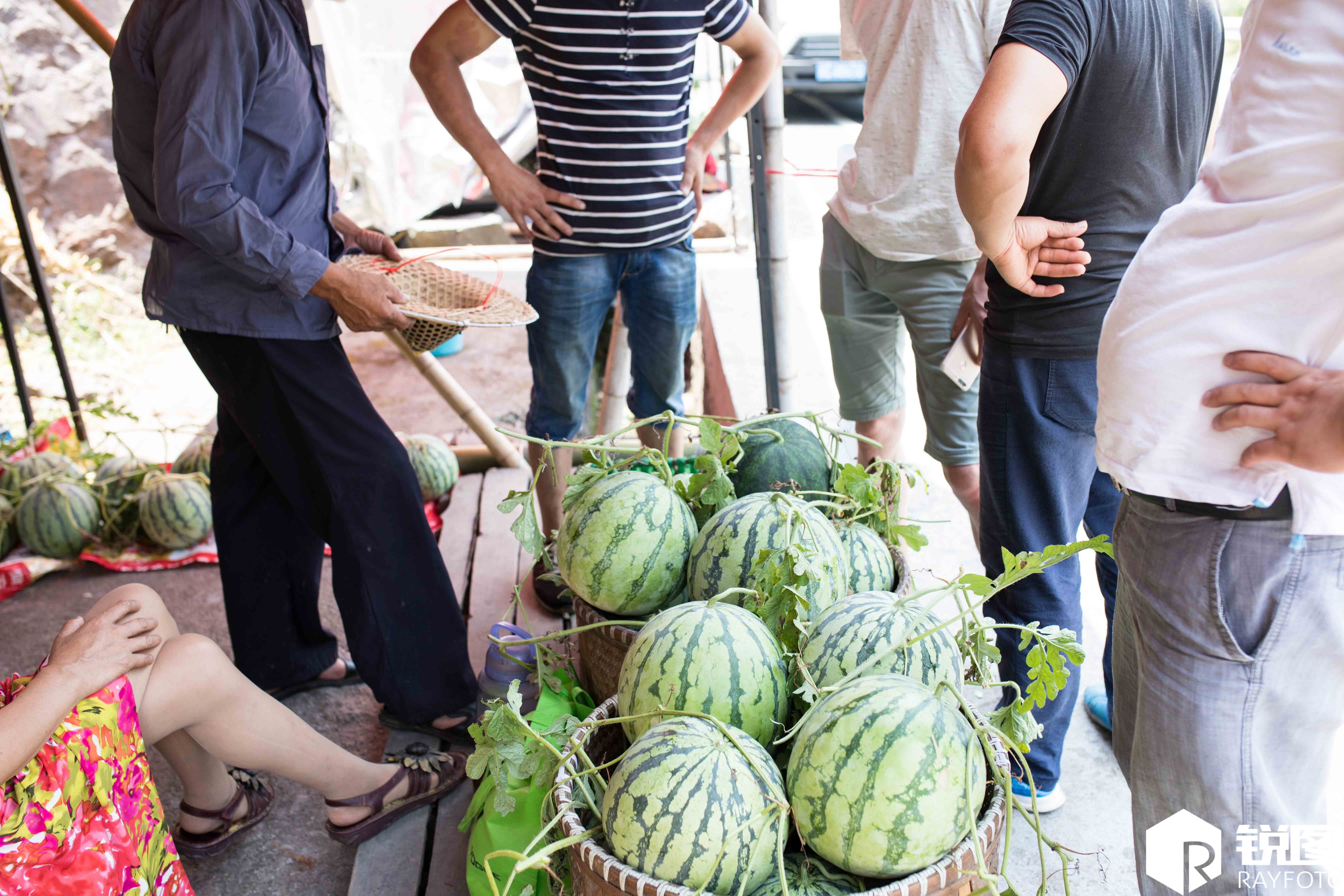 情侣路边买西瓜,一个瓜五百块钱,气愤报警,才知老板救了自己