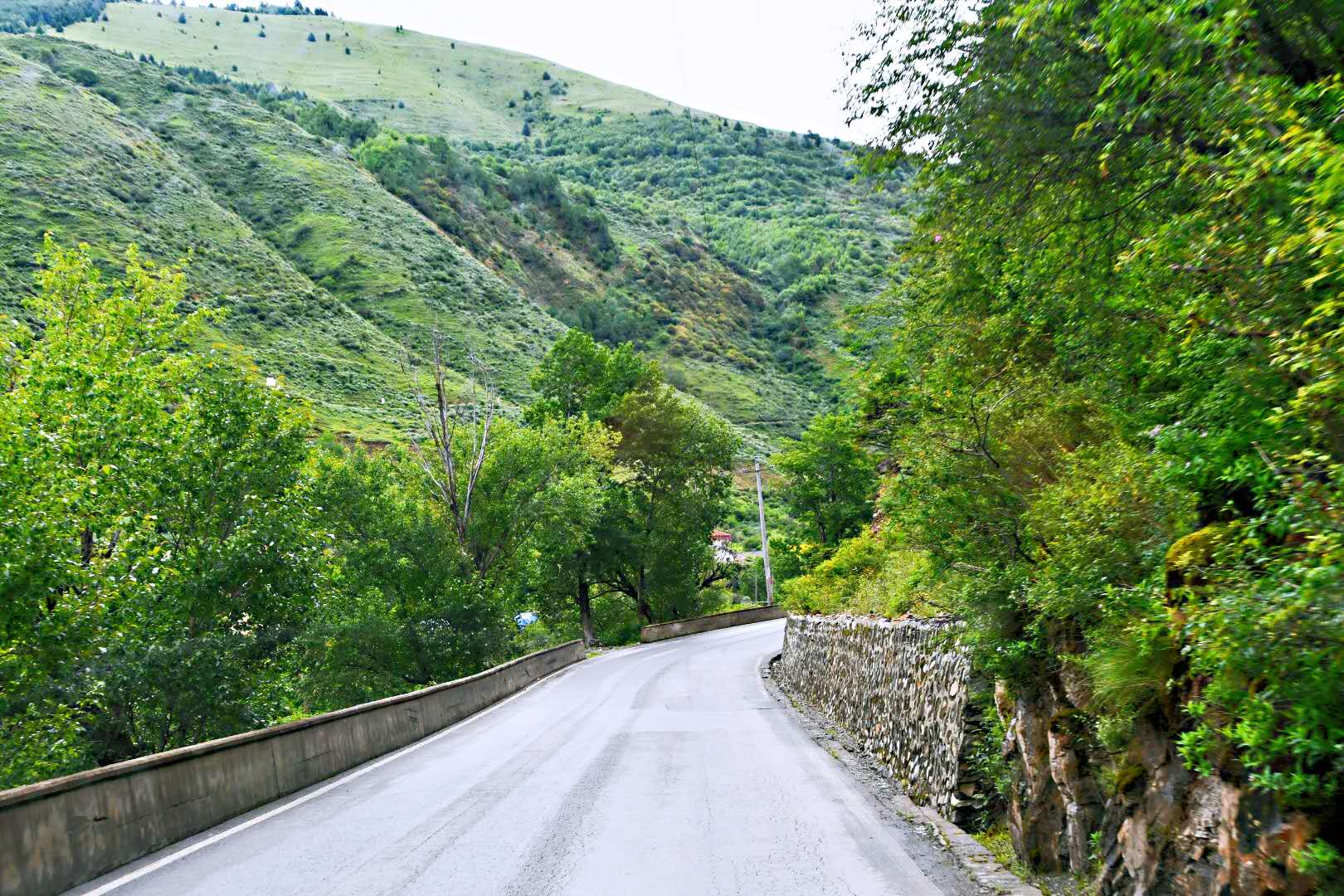 車行駛在s215省道上,基本都是在漫山遍野,一望無際的大草原中行走