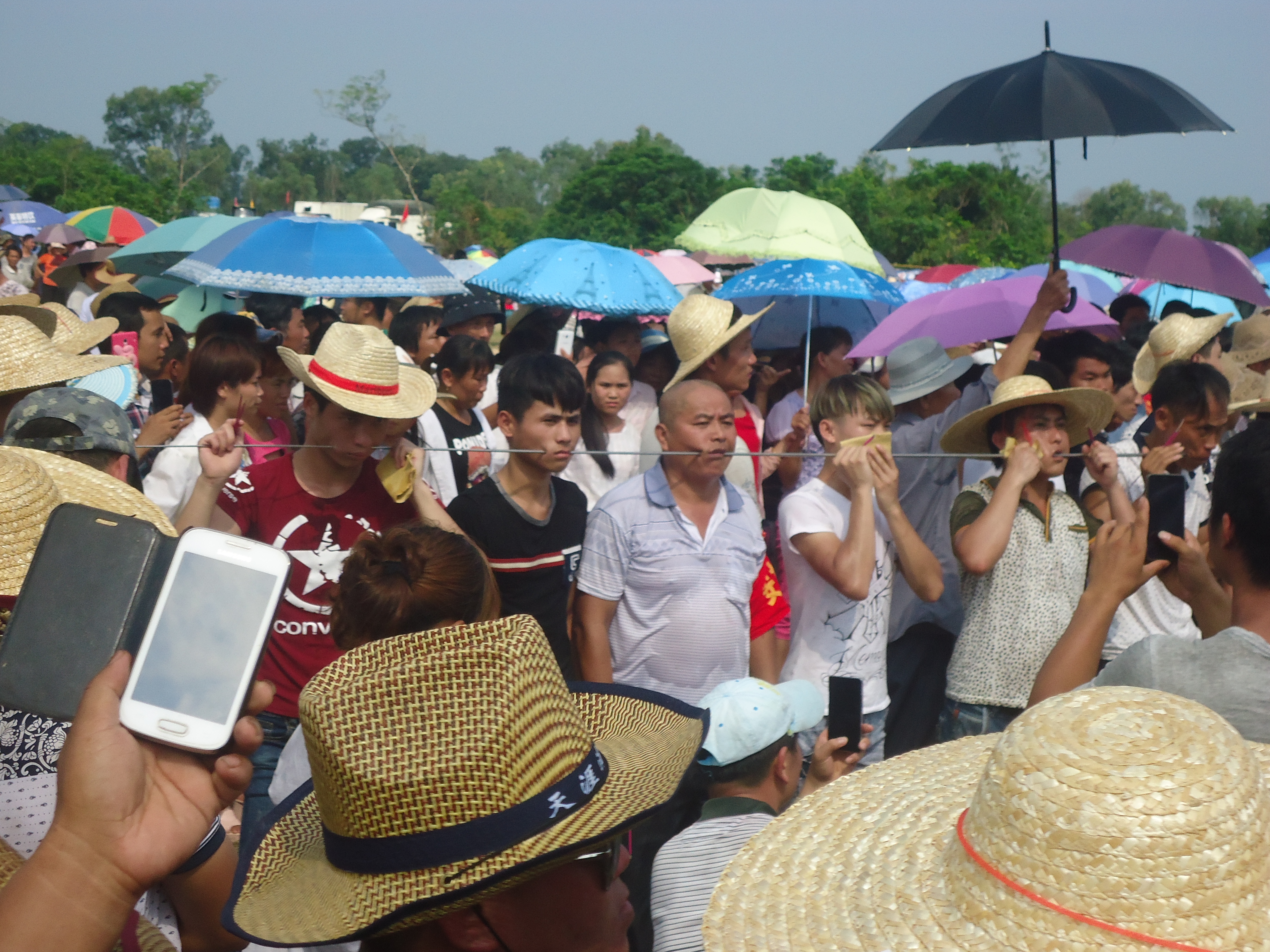 「揭秘」海南军坡穿杖你不知道的秘密