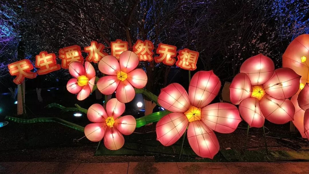 溧水梅花节剧透来啦!新晋打卡点,快来溧水梅花山"凹造型"吧!