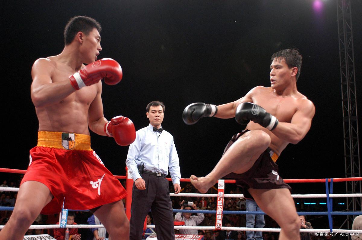 散打王刘海龙职业成就