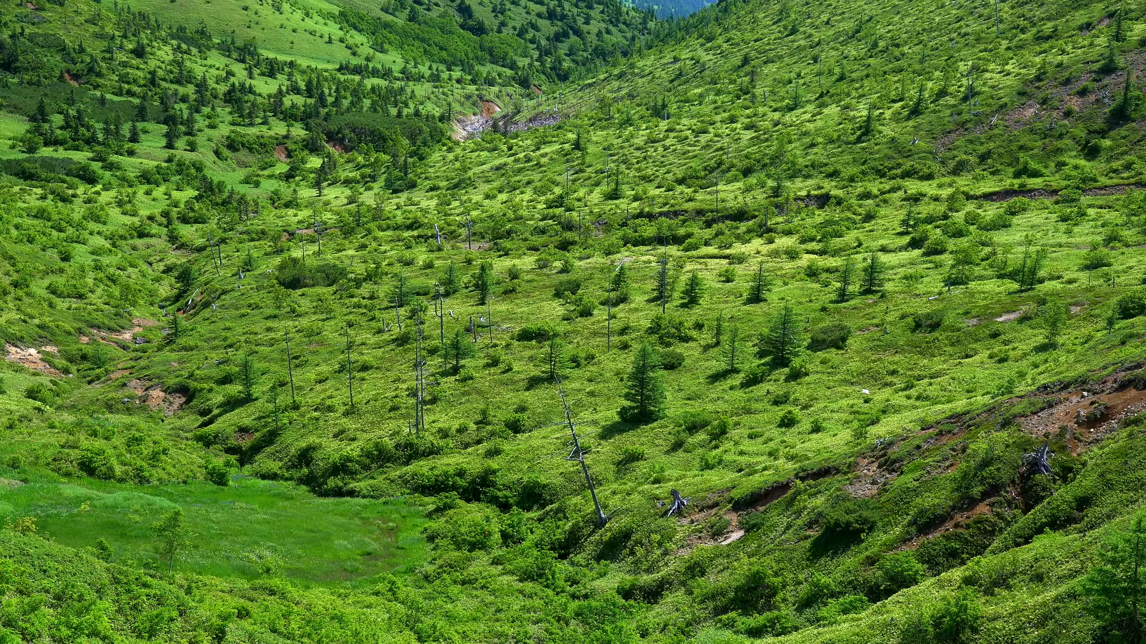 山上连绵不绝的绿色树林 转载自百家号作者:看看风景看看自然