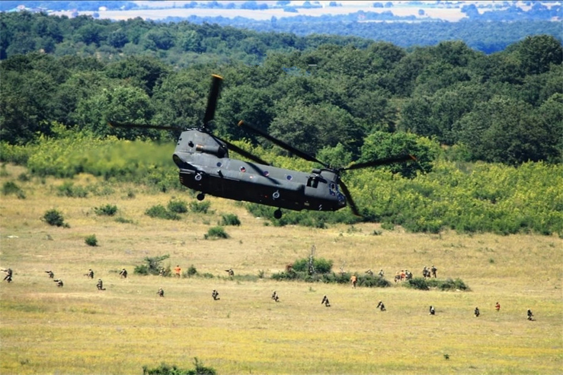 近期,意大利都灵军事学院和陆军士官学校的学员举行了一场联合演习
