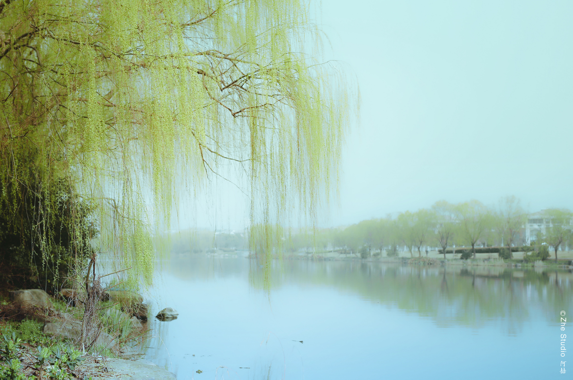江边晴照日渐暖,柳色如烟意如岚.