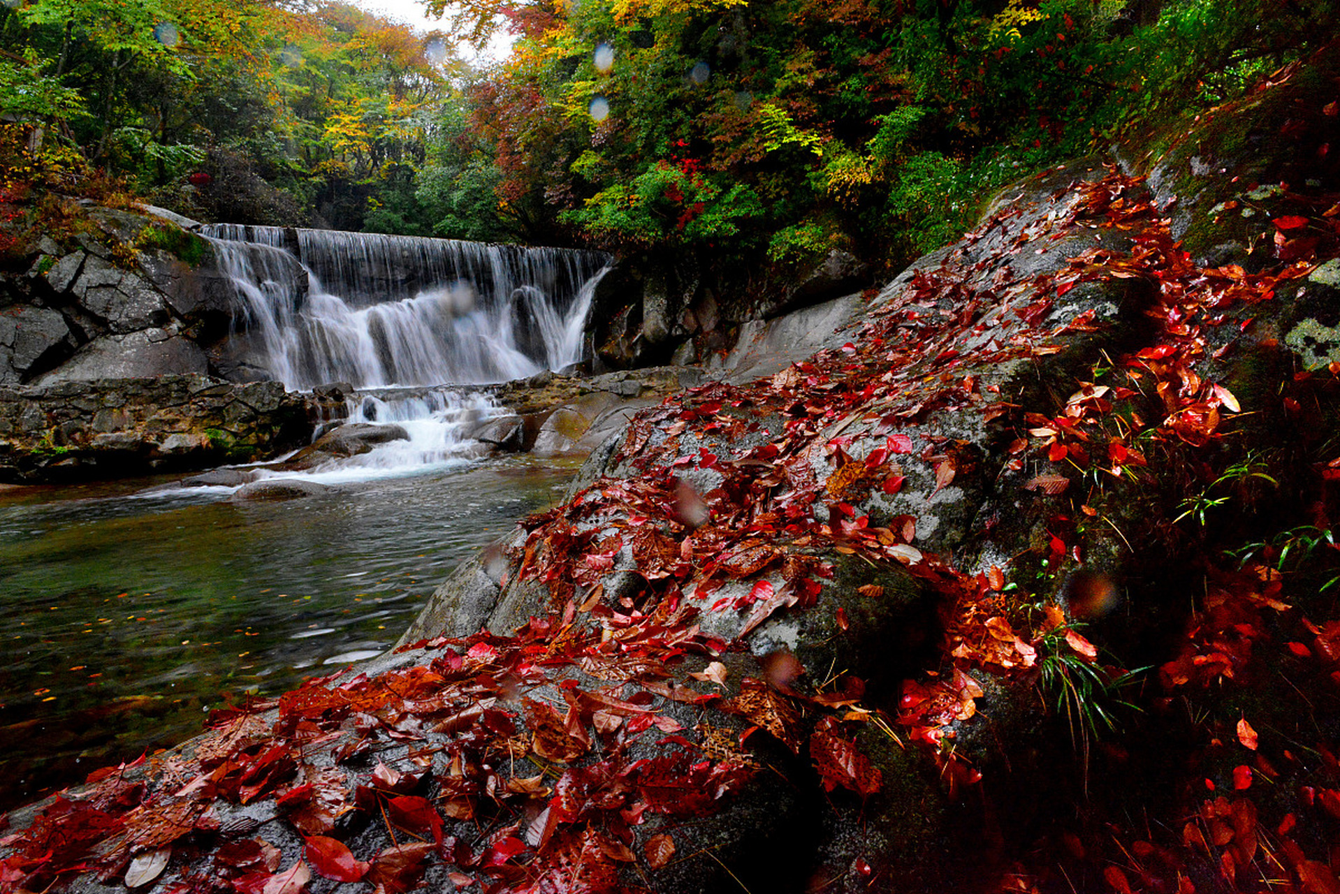 光雾山位于四川省巴中市南江县北部,距县城70公里,到陕西汉中市70公里