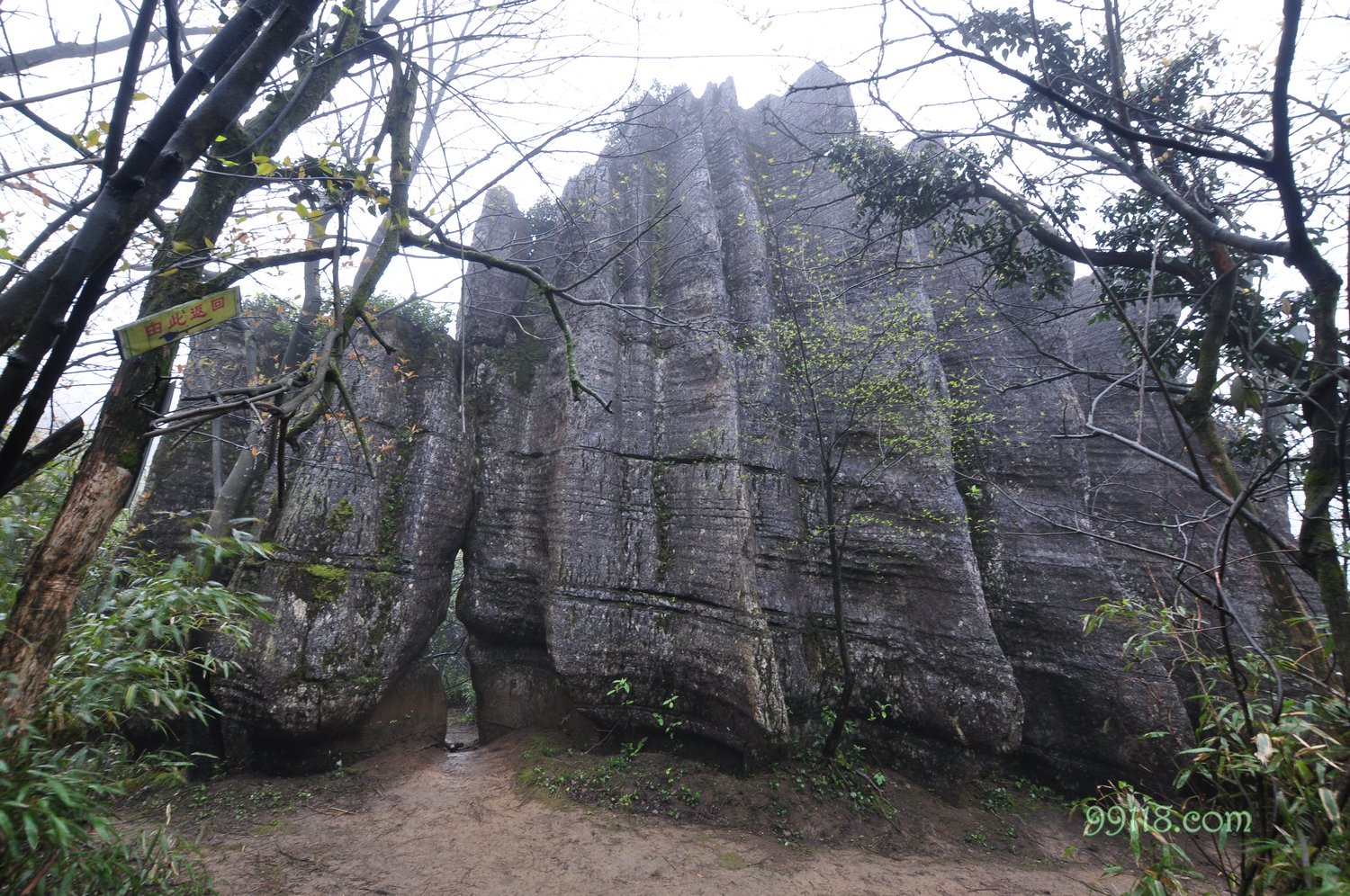 山王坪生态石林风景实拍