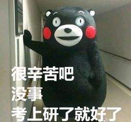 考研:初试分数高,就有优势吗?这些情况才决定能否被最终录取!