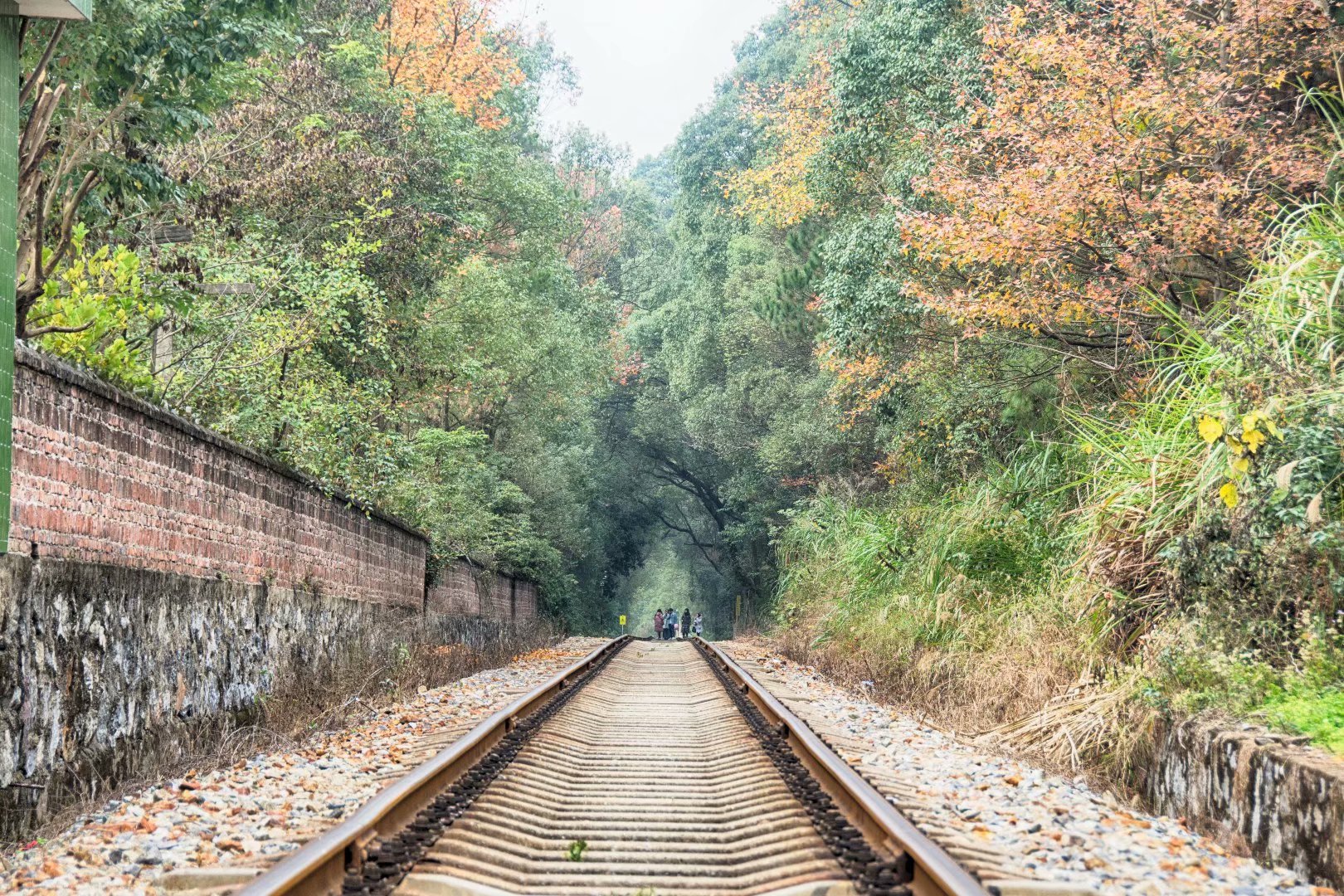 踏在时光隧道上 走进梦之入口 韶关最美铁路 一站一风景