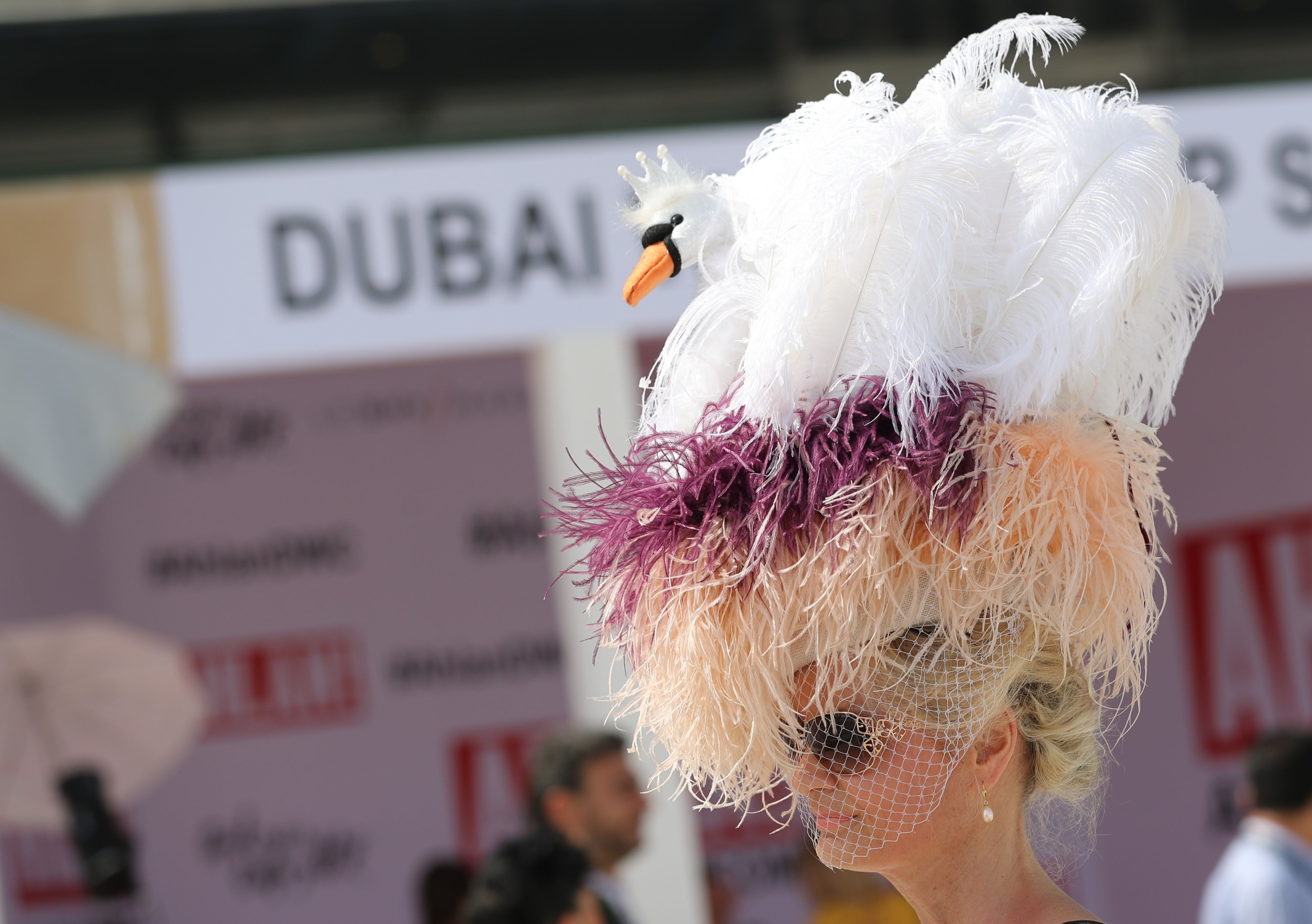 赛马会上的帽子秀(19)