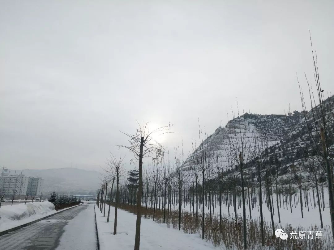 是谁把会宁西岩山的雪景写得如此醉人