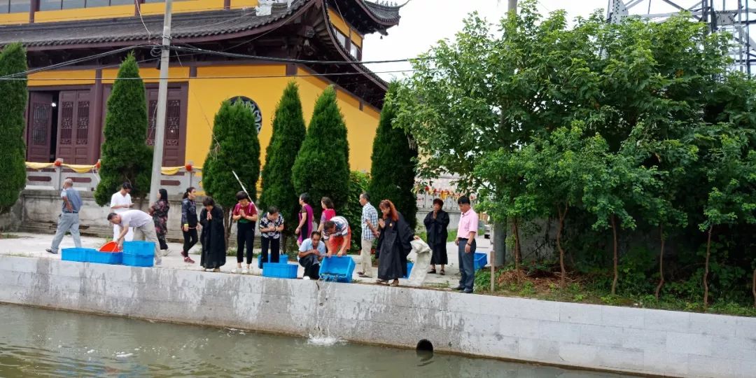 知恩于心,感恩于行 | 东台市观音禅寺农历十月十五积福慧放生法会通启