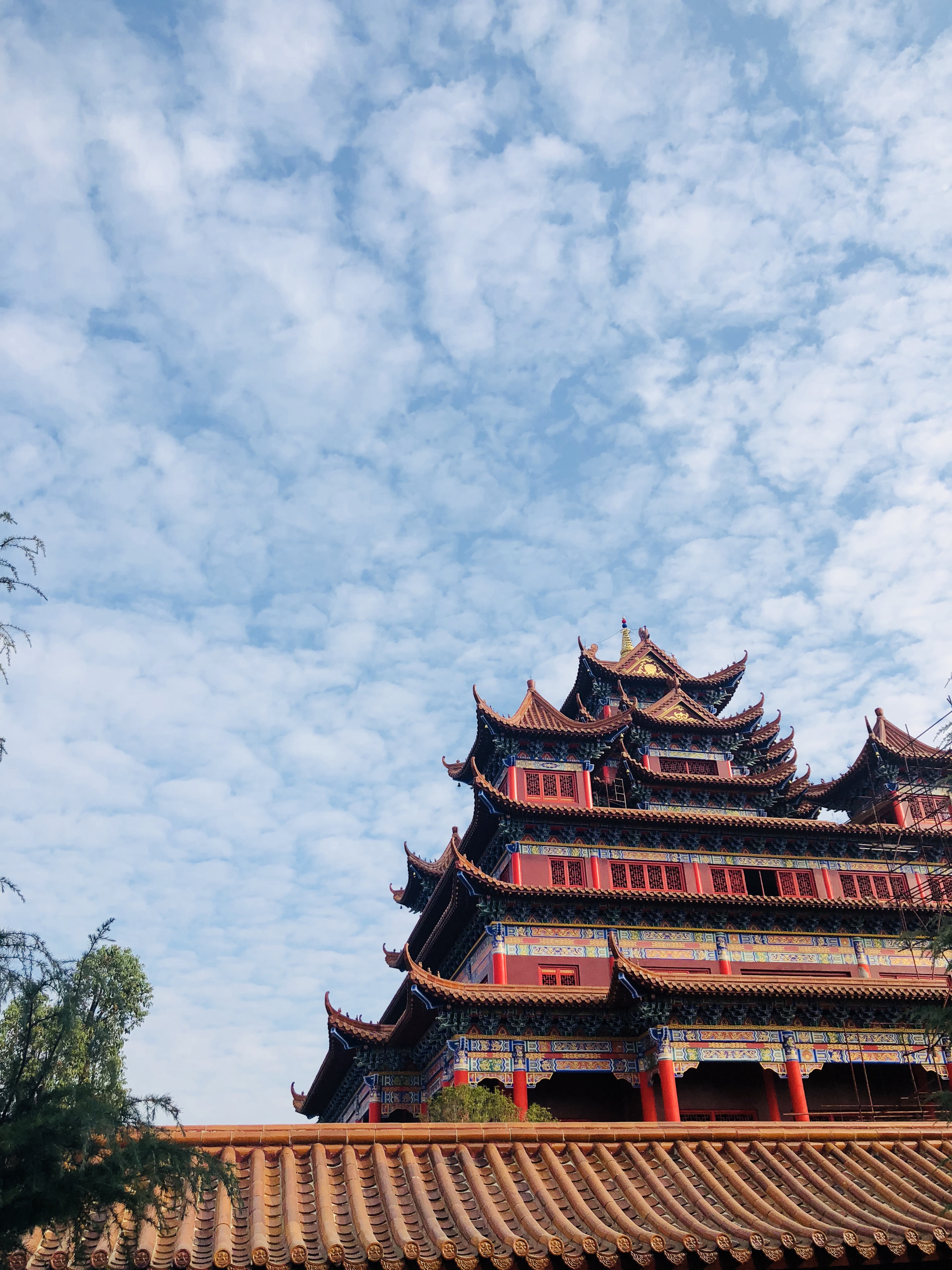 一起探寻大吉祥寺