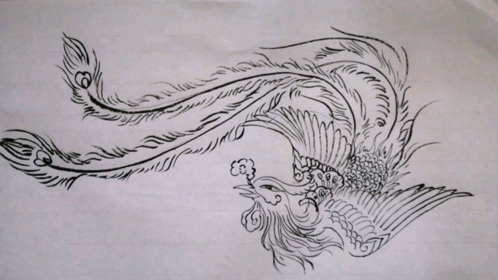 白描凤凰的画法!