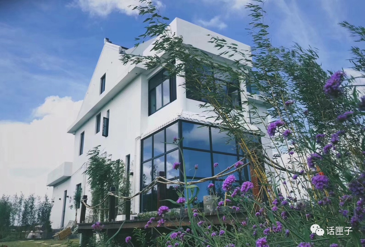 奉贤新晋三家高颜值民宿,稻田,果树,薰衣草田……一年四季都有看不完