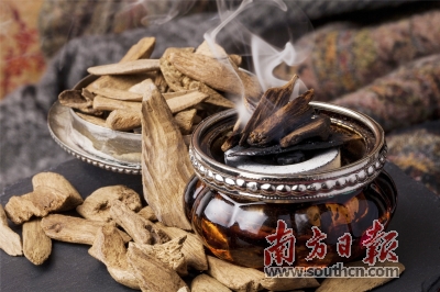 节到小雪农事忙 道地莞香传根脉