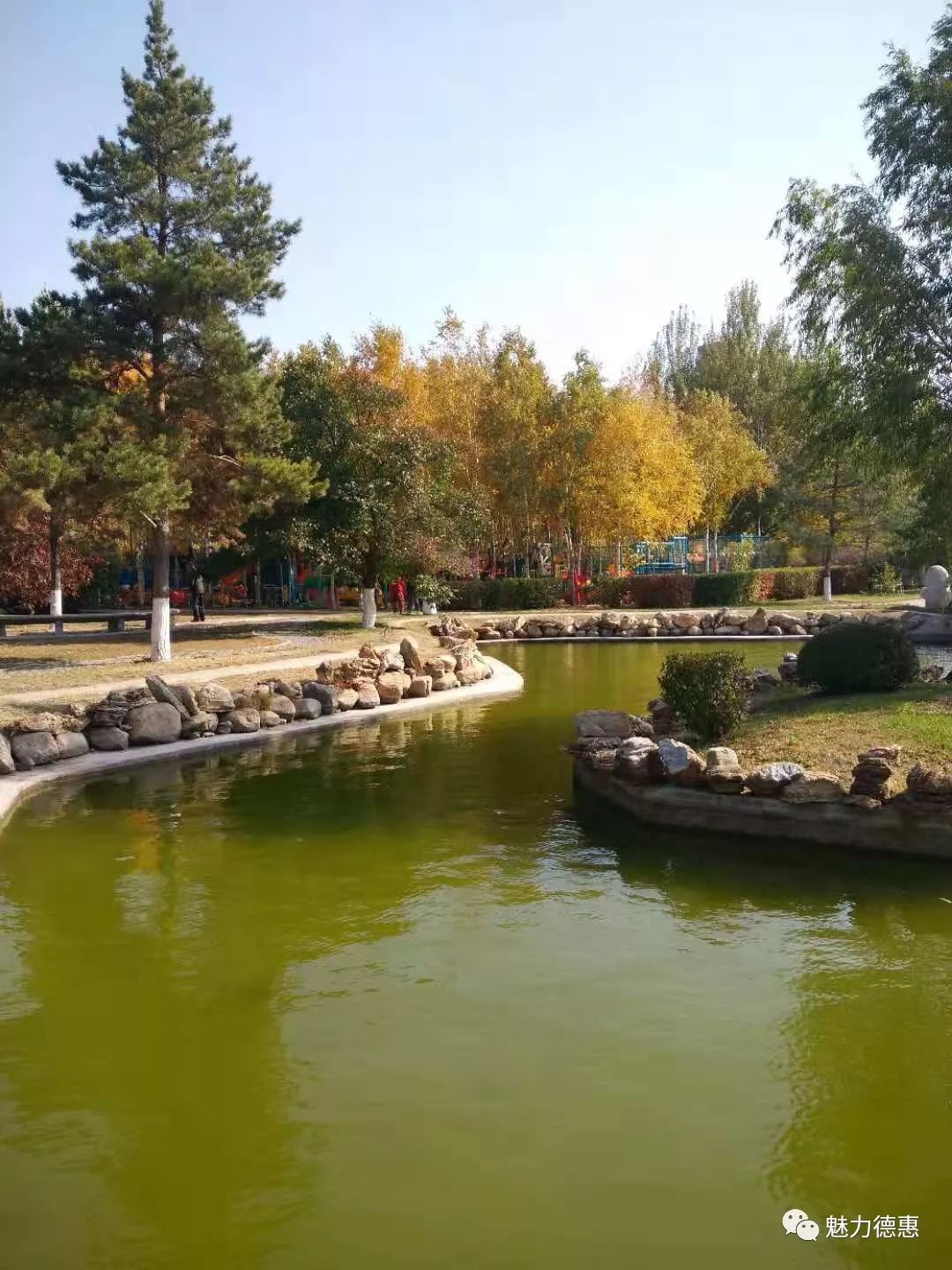 德惠街拍十二:植物园秋景醉游人