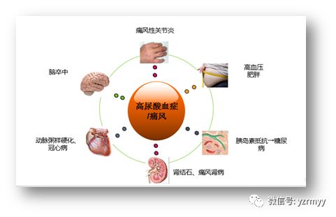 微健康:痛风的危害及防治